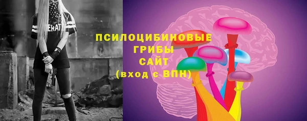 мяу мяу мука Сосновоборск