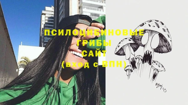 мяу мяу мука Сосновоборск