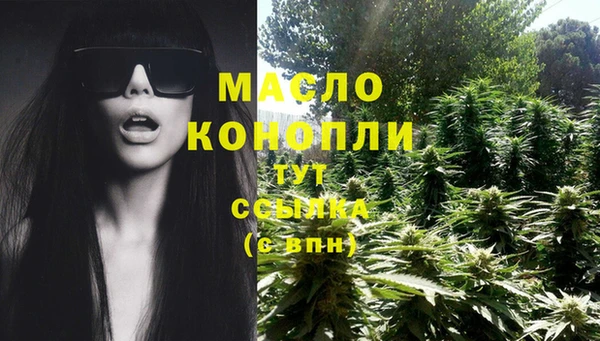 крисы Сосновый Бор