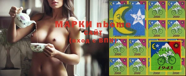 меф Снежинск