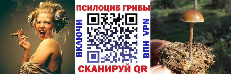 Купить где  Дюртюли  Галлюциногенные грибы мицелий 